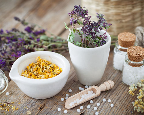 Homéopathie Pharmacie de l'Hôtel de Ville Bain de Bretagne